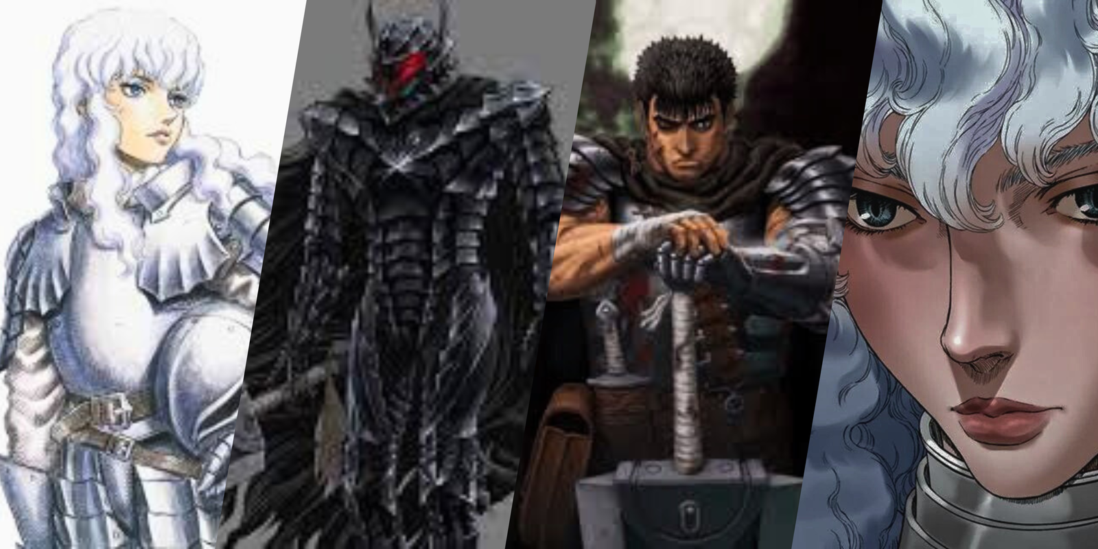 Cover Photo Berserk arcs